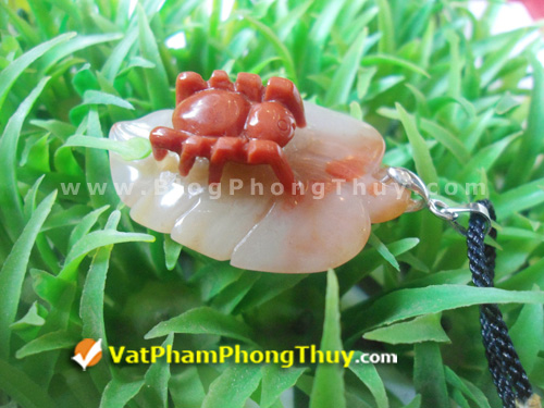 nhen phong thuy 15 Nhện Phong Thủy, linh vật giúp may mắn trọn vẹn về tài lộc và tình duyên